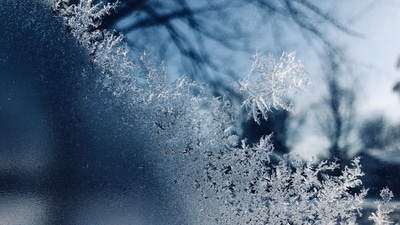 What’s a freeze watch? Full record of Pennsylvania counties and cities beneath alert for Monday/Tuesday